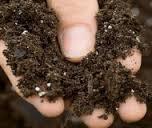 خاک پوششی مناسب برای پرورش قارچ