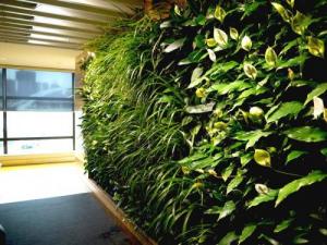 باغچه عمودی،دیوار سبز