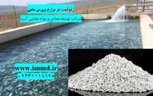 فروش زئولیت در پرورش ماهی